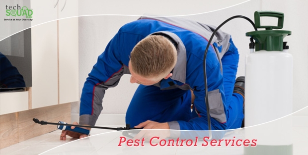pest control services- techsquadteam